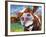 Curious Cow I-Carolee Vitaletti-Framed Art Print