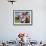 Curious Cow I-Carolee Vitaletti-Framed Art Print displayed on a wall