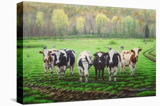 Curious Cows-Bruce Dumas-Stretched Canvas