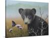 Curious Cub-Robert Wavra-Stretched Canvas