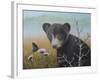 Curious Cub-Robert Wavra-Framed Giclee Print