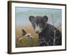 Curious Cub-Robert Wavra-Framed Giclee Print