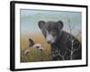 Curious Cub-Robert Wavra-Framed Giclee Print