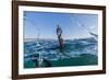 Curious Flightless Cormorant (Phalacrocorax Harrisi) Underwater at Tagus Cove-Michael Nolan-Framed Photographic Print