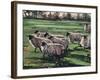 Curious Flock II, 2009,-Helen White-Framed Giclee Print