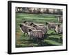 Curious Flock II, 2009,-Helen White-Framed Giclee Print