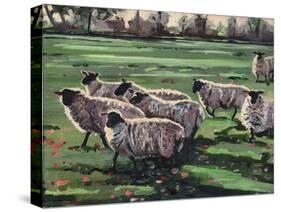Curious Flock II, 2009,-Helen White-Stretched Canvas