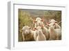 Curious Flock of Sheep-null-Framed Art Print