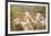 Curious Flock of Sheep-null-Framed Art Print