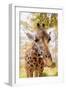 Curious Giraffe-Kathy Mansfield-Framed Art Print