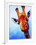 Curious Giraffe-Corina St. Martin-Framed Giclee Print