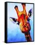 Curious Giraffe-Corina St. Martin-Framed Stretched Canvas