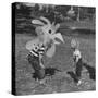 Curious Girl Looking at a Toy Chicken Head Toy by Charles Eames-Allan Grant-Stretched Canvas