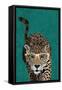 Curious green leopard-Sarah Manovski-Framed Stretched Canvas
