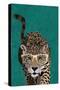 Curious green leopard-Sarah Manovski-Stretched Canvas