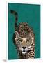 Curious green leopard-Sarah Manovski-Framed Giclee Print