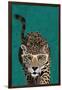 Curious green leopard-Sarah Manovski-Framed Giclee Print