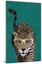 Curious green leopard-Sarah Manovski-Mounted Giclee Print