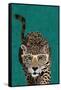 Curious green leopard-Sarah Manovski-Framed Stretched Canvas