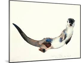 Curious Otter, 2003-Mark Adlington-Mounted Premium Giclee Print