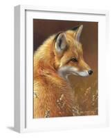 Curious: Red Fox-Joni Johnson-godsy-Framed Art Print