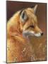 Curious: Red Fox-Joni Johnson-godsy-Mounted Art Print