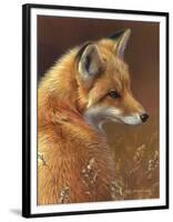 Curious - Red Fox-Joni Johnson-godsy-Framed Art Print