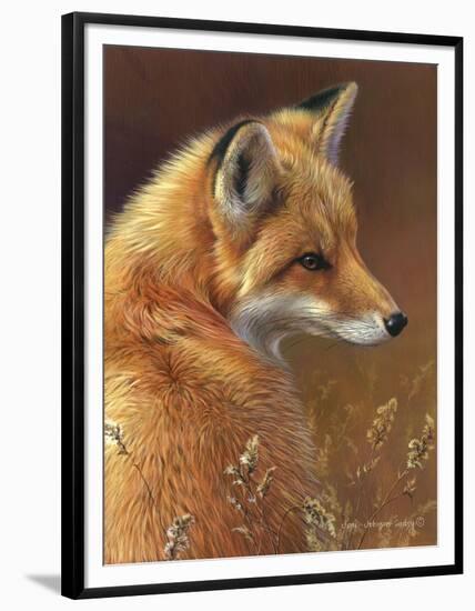 Curious - Red Fox-Joni Johnson-godsy-Framed Art Print