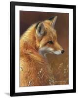 Curious - Red Fox-Joni Johnson-godsy-Framed Art Print