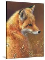 Curious - Red Fox-Joni Johnson-godsy-Stretched Canvas