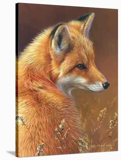Curious - Red Fox-Joni Johnson-godsy-Stretched Canvas