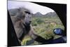 Curious Savannah Baboon-null-Mounted Photographic Print