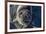 Curious Southern Elephant Seal Pup (Mirounga Leonina), Gold Harbor, South Georgia, Polar Regions-Michael Nolan-Framed Photographic Print