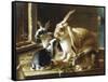 Curious Spectator-Valentine Thomas Garland-Framed Stretched Canvas