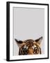 Curious Tiger-Staffan Widstrand-Framed Giclee Print
