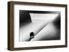 CurioZity-Laura Mexia-Framed Photographic Print