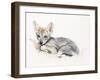 Curled Arabian Wolf Pup, 2009-Mark Adlington-Framed Giclee Print