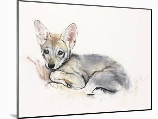 Curled Arabian Wolf Pup, 2009-Mark Adlington-Mounted Giclee Print