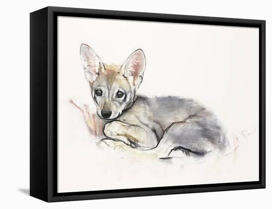 Curled Arabian Wolf Pup, 2009-Mark Adlington-Framed Stretched Canvas