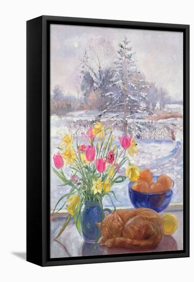 Curled Cat with Flowers-Timothy Easton-Framed Stretched Canvas
