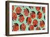 Curled Fox Polka Mint-Sharon Turner-Framed Art Print