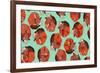 Curled Fox Polka Mint-Sharon Turner-Framed Premium Giclee Print