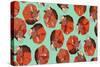 Curled Fox Polka Mint-Sharon Turner-Stretched Canvas