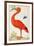 Curlew Catesby (or Scarlet Ibis)-Maria Sibylla Merian-Framed Art Print