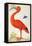 Curlew Catesby (or Scarlet Ibis)-Maria Sibylla Merian-Framed Stretched Canvas