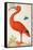 Curlew Catesby (or Scarlet Ibis)-Maria Sibylla Merian-Framed Stretched Canvas