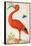 Curlew Catesby (or Scarlet Ibis)-Maria Sibylla Merian-Framed Stretched Canvas