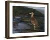 Curlew (Numenius Arquata) on Beach, Wirral, England, UK, December-Richard Steel-Framed Photographic Print