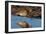 Curlew preening on mudflat at low tide, Northumberland, UK-Laurie Campbell-Framed Photographic Print