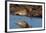 Curlew preening on mudflat at low tide, Northumberland, UK-Laurie Campbell-Framed Photographic Print